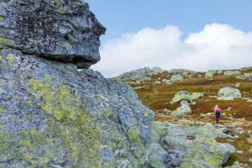 Jøronnatten på Lifjell, Midt-Telemark.