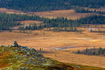 Hovdsjøfjellet, Stor-Elvdal.