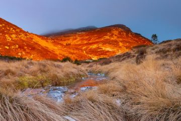 Lifjell, Seljord.