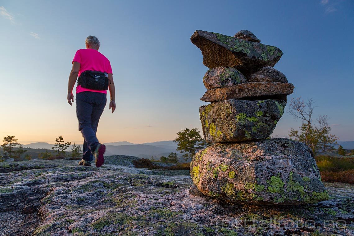 På Luberg i Nome, Telemark.<br>Bildenr 20180903-260.