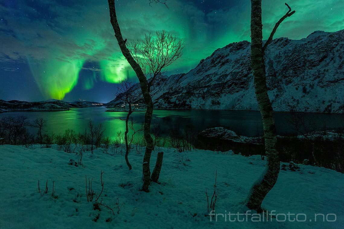 Nordlys over Ingelsfjorden i Vesterålen, Hadsel, Nordland.<br>Bildenr 20181208-544.