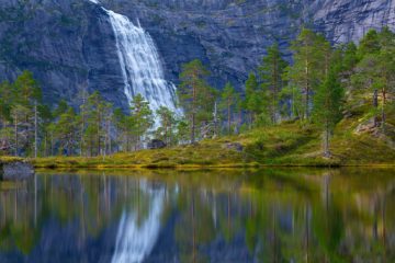 Rago nasjonalpark, Sørfold.