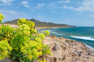 Calblanque, Spania.