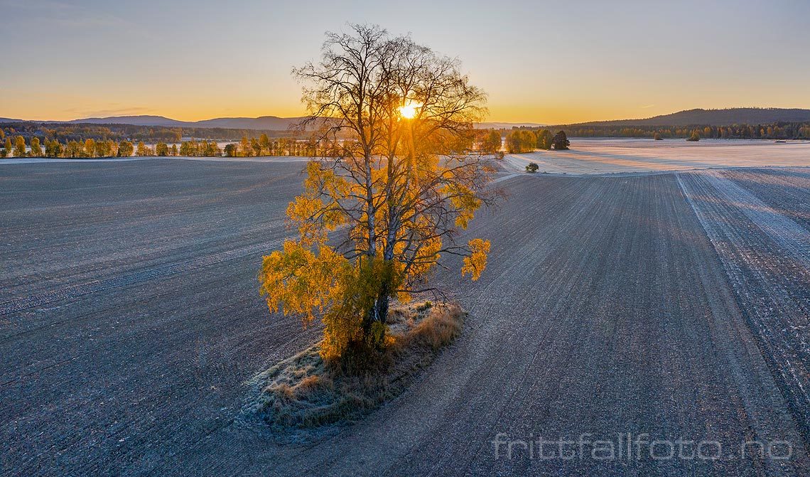 Morgen ved jordbrukslandskapet nær Løken i Heradsbygd, Elverum, Innlandet.<br>Bildenr 20191006-096-111.