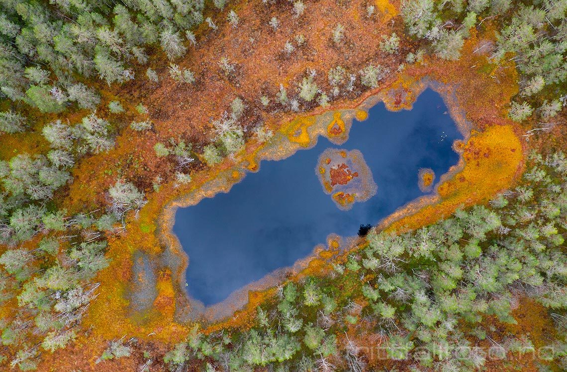 Dette snodig formede tjernet ligger i skogen nær Vatnar, Midt-Telemark, Telemark.<br>Bildenr 20191022-005.