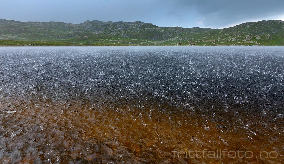 Et kraftig regnskyll passerer Holmen på Lifjell, Midt-Telemark, Telemark.<br>Bildenr 20190630-537.