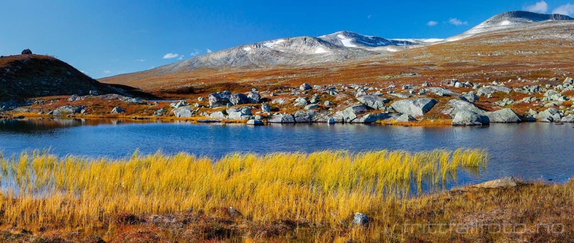 Høststemning på Saltfjellet, Rana, Nordland.<br>Bildenr 20190927-385-386.