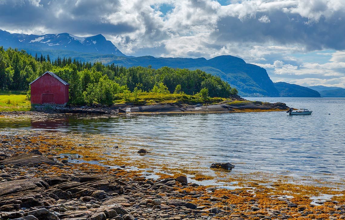 I Tømmervika ved Reisafjorden, Sørreisa, Troms.<br>Bildenr 20160808-166.