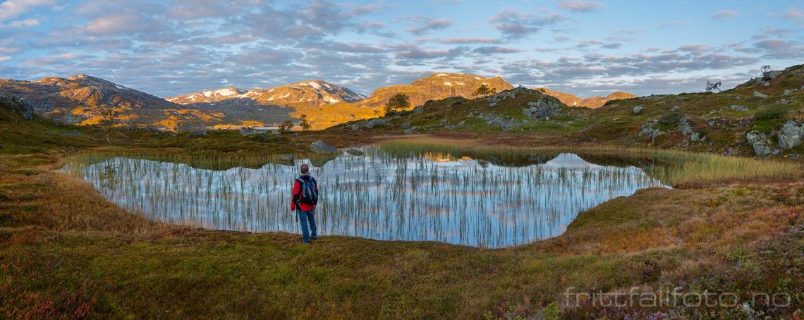 Høstmorgen på Haukelifjell, Vinje, Telemark.<br>Bildenr 20170917-105-107.