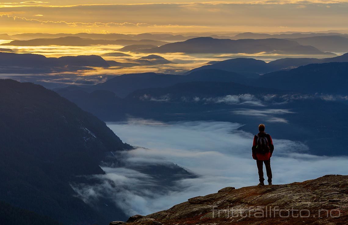 Novembermorgen på Lifjell, Seljord, Telemark.<br>Bildenr 20171104-111.