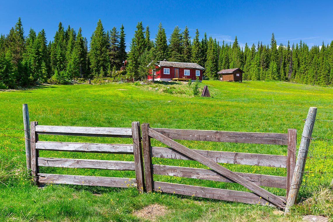 Ved Skreddarstølen i Rukkedalen, Nesbyen, Buskerud.<br>Bildenr 20180603-372.