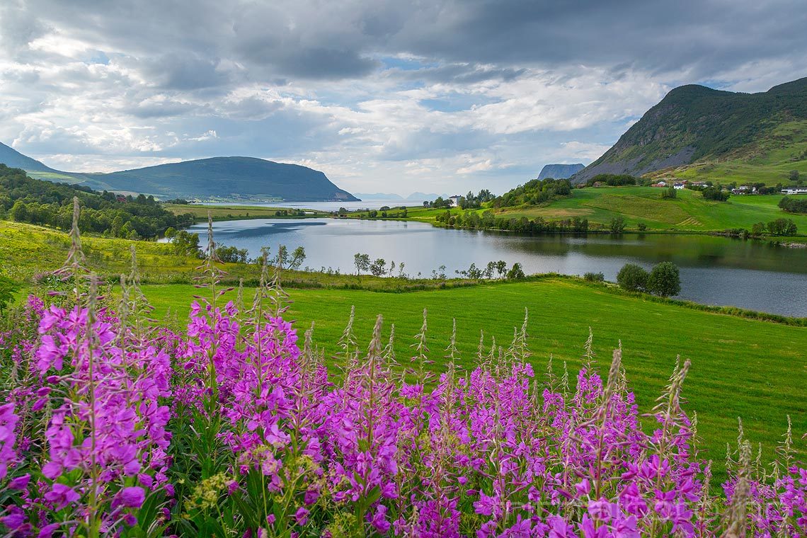 Sommerkveld ved Kasfjord, Harstad, Troms.<br>Bildenr 20180730-489.