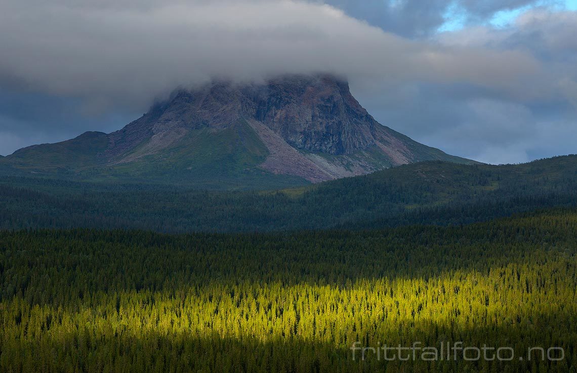 Tåke dekker toppen av Hatten, Hattfjelldal, Nordland.<br>Bildenr 20180803-660.