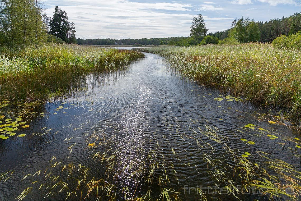 Ved Svalahella nær Kjærnes, Våler, Østfold.<br>Bildenr 20180913-174.