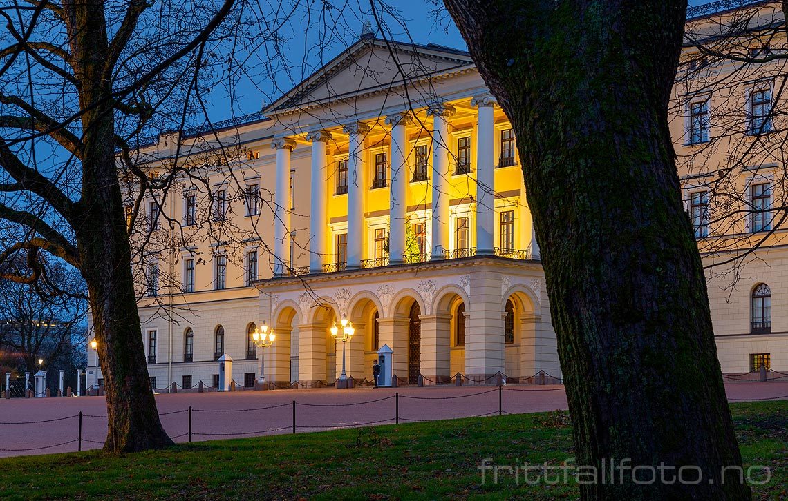 Morgen ved Det Kongelige Slott, Oslo.<br>Bildenr 20181202-106.