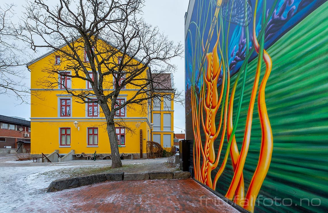 Gatekunst i Rakkestad, Rakkestad, Østfold.<br>Bildenr 20190112-152.