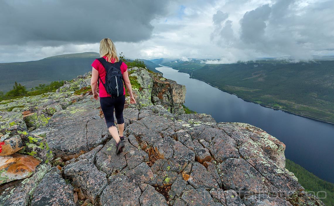 På Skagsvola ved Engeren, Trysil, Innlandet.<br>Bildenr 20190722-331.