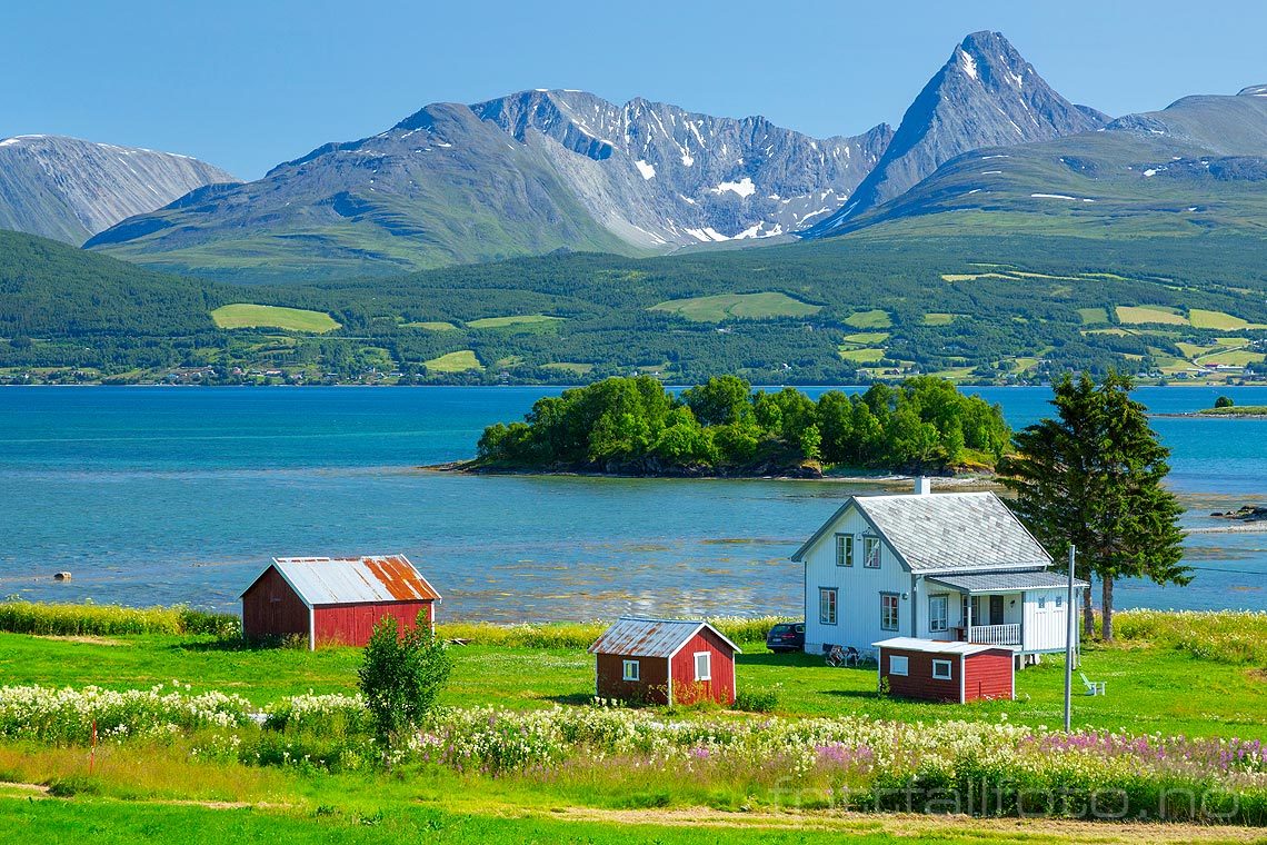 Sommerdag ved Balsfjorden med Lyngsalpan i bakgrunnen, Balsfjord, Troms.<br>Bildenr 20190728-101.