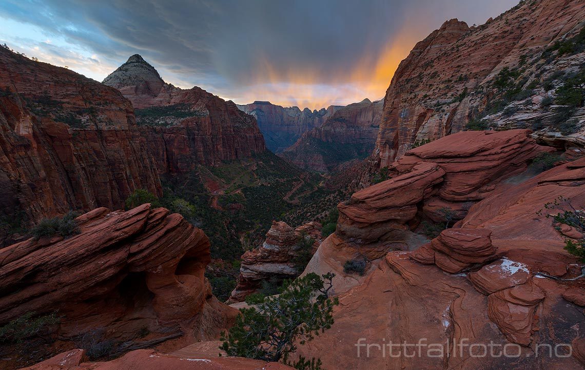 Kveld ved Upper East Canyon i Zion National Park, Washington County, Utah, USA.<br>Bildenr 20170402-502.