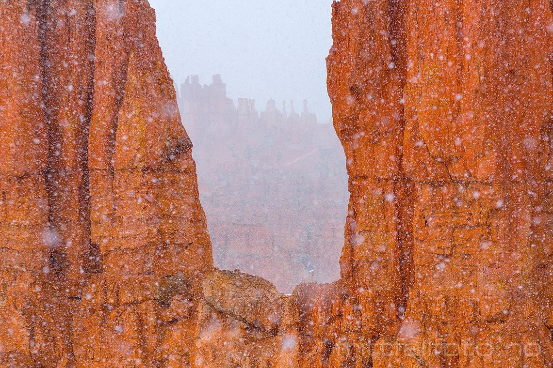 Snøen laver ned i Bryce Canyon, Garfield County, Utah, USA.<br>Bildenr 20170403-094.