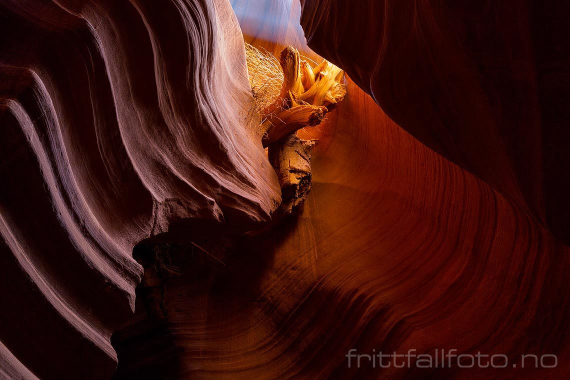 Fjellformasjoner i Upper Antelope Canyon nær Page, Coconino County, Arizona, USA.<br>Bildenr 20170405-497.