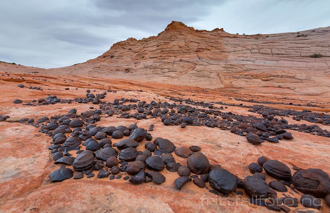 Moqui marbles ligger strødd ved Harris Wash nær Escalante, 
Grand Staircase - Escalante National Monument, Garfield County, Utah, USA.<br>Bildenr 20170407-169.