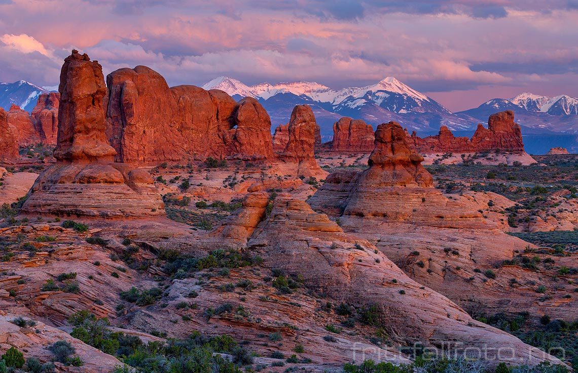 Kveld ved Garden Of Eden i Arches National Park nær Moab, Grand County, Utah, USA.<br>Bildenr 20170408-707.