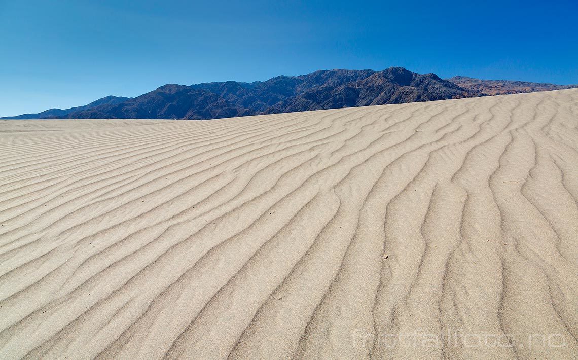 Ved Sand Dunes nær Stowepipe Wells i Death Valley National Park, Inyo County, California, USA.<br>Bildenr 20170413-141.
