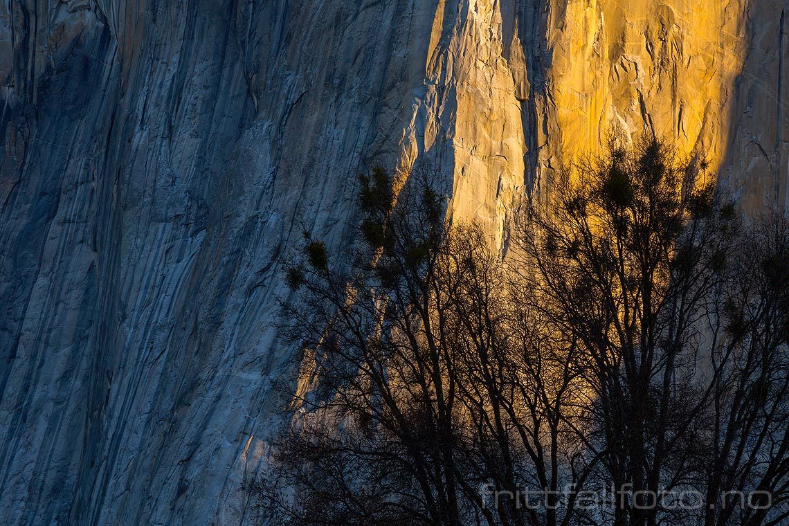 Lyset fra morgensola kryper ned i fjellveggene på El Capitan i Yosemite Valley, Sierra Nevada, Mariposa County, California, USA.<br>Bildenr 20170414-132.