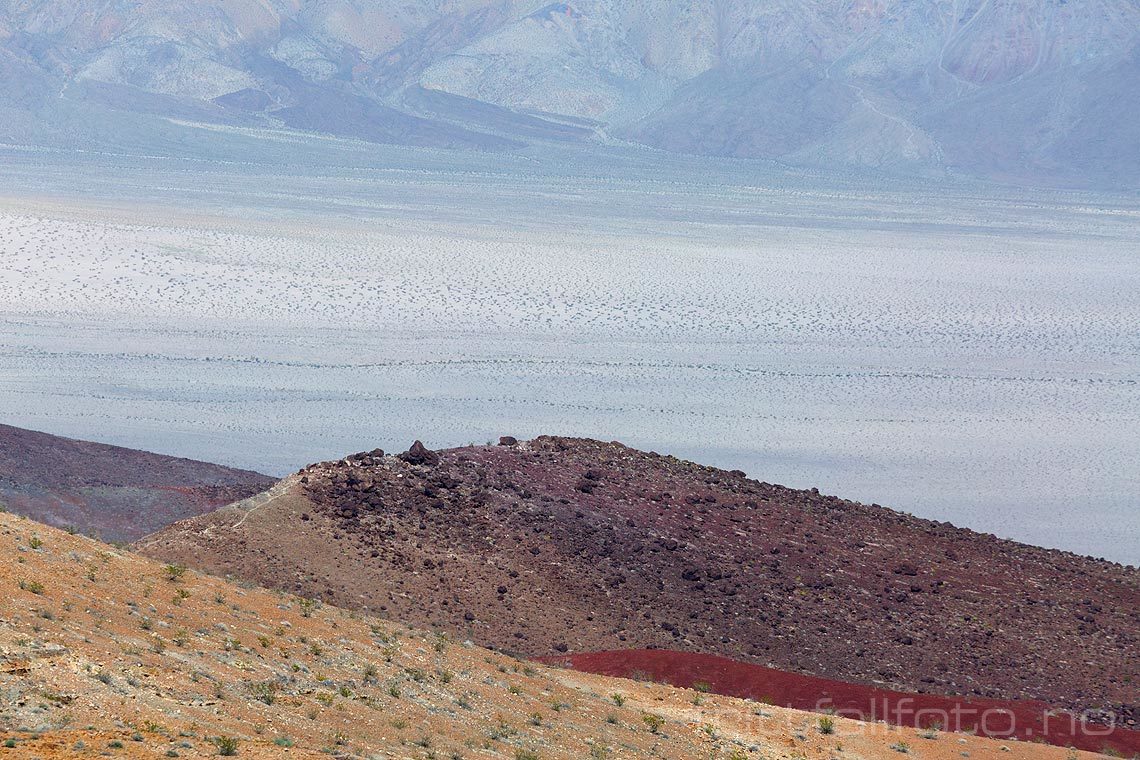 Det er tørt i Panamint Valley, Death Valley National Park, Inyo County, California, USA.<br>Bildenr 20170415-088.