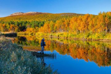 Holøydalen, Tolga, Innlandet.