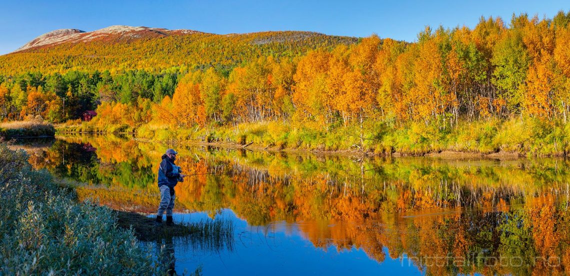 Sportsfiske ved Hola i Holøydalen, Tolga, Innlandet.<br>Bildenr 20200919-1257-1260.