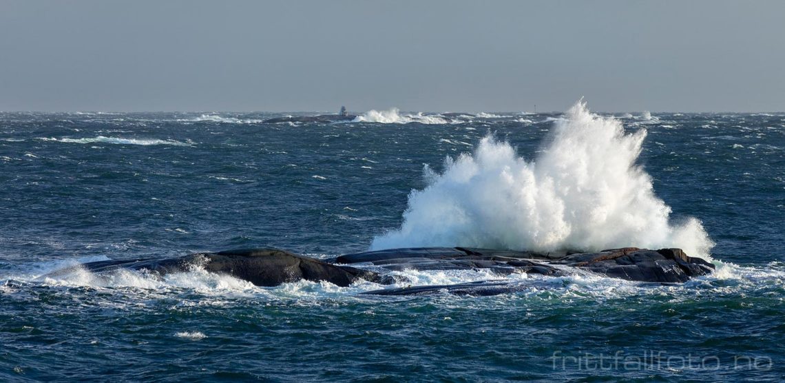 Brenninger ved Tønsbergfjorden, Sandefjord, Vestfold.<br>Bildenr 20201122-038-056.