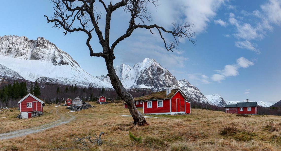 Desemberstemning ved Myklebustsætra, Ørsta, Møre og Romsdal.<br>Bildenr 20201210-092-097.