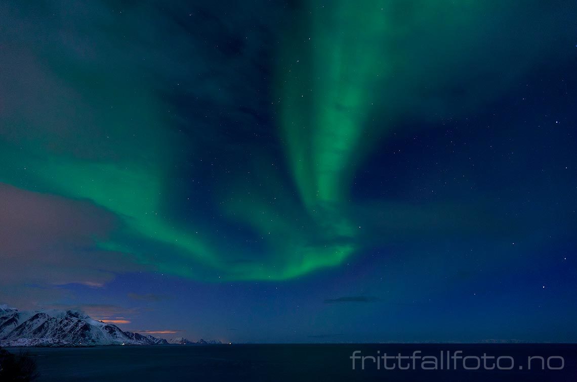 Nordlys over Vestfjorden, Moskenes, Nordland.<br>Bildenr 20110312-145.