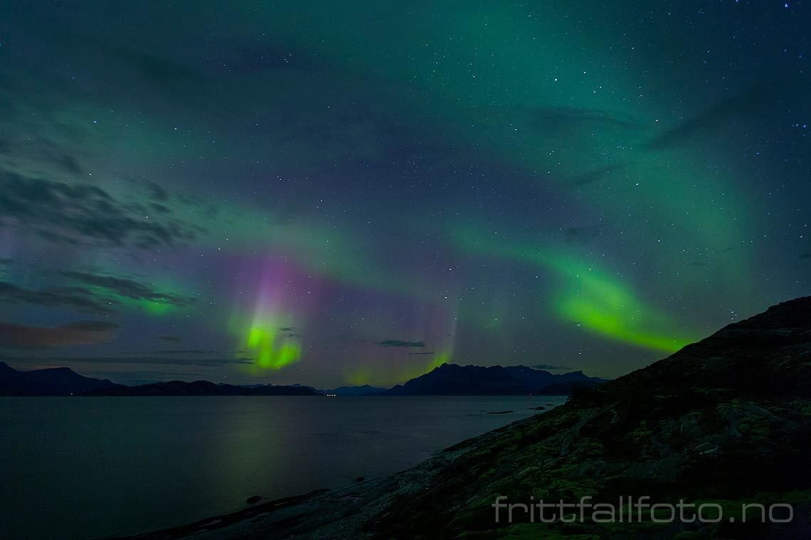 Nordlys over Folda, Bodø, Nordland.<br>Bildenr 20161025-035.