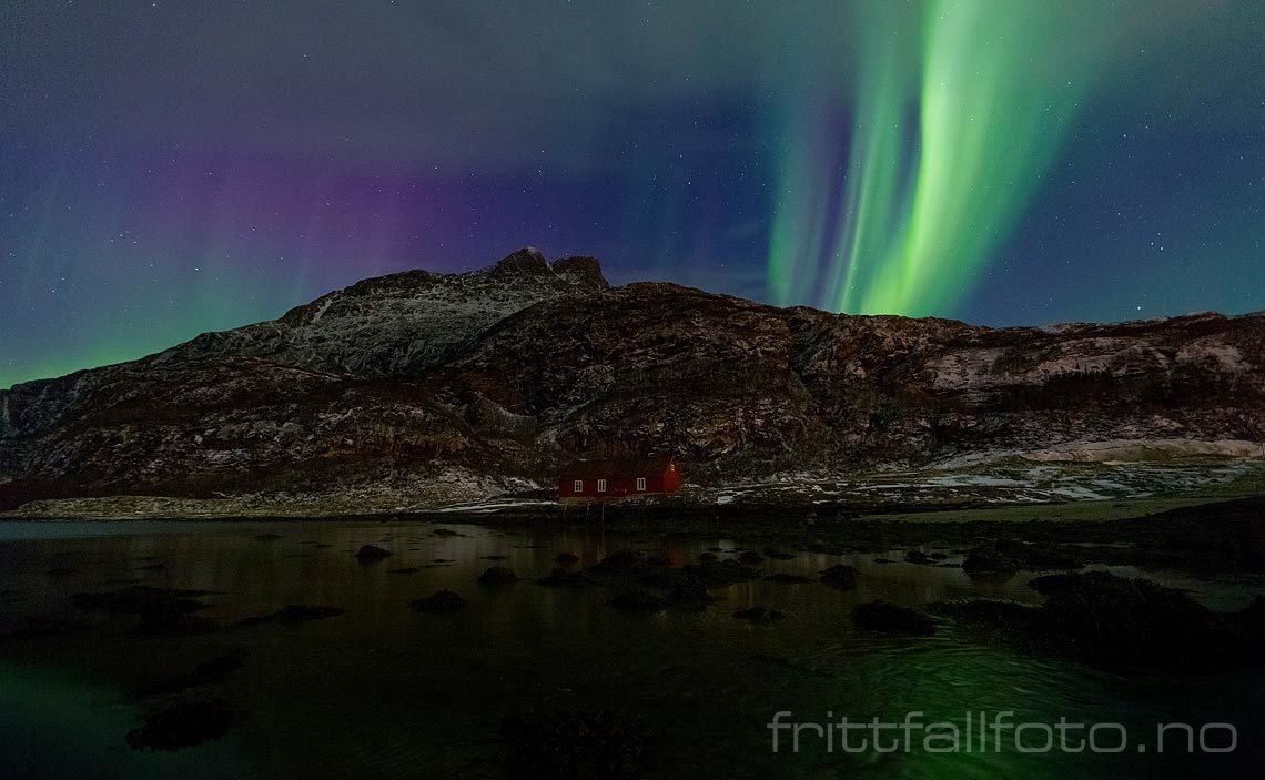 Nordlys ved Mjelle, Bodø, Nordland.<br>Bildenr 20170104-171.