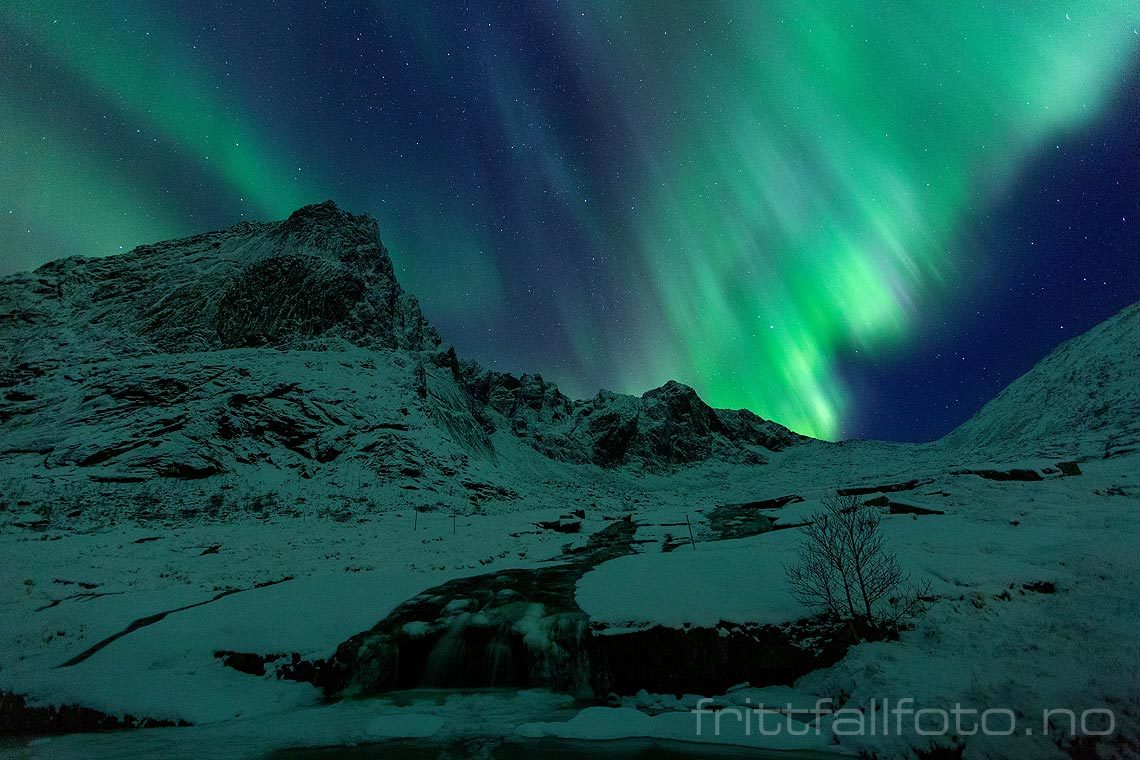 Nordlys over Stortinden i Lofoten, Flakstad, Nordland.<br>Bildenr 20181207-430.