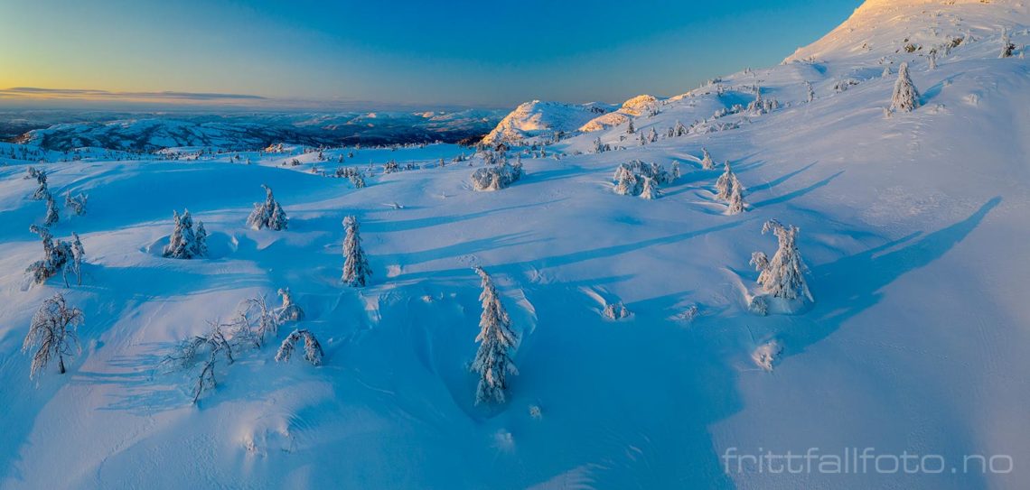 Vintermorgen på Lifjell, Midt-Telemark, Vestfold og Telemark.<br>Bildenr 20210105-164-165.