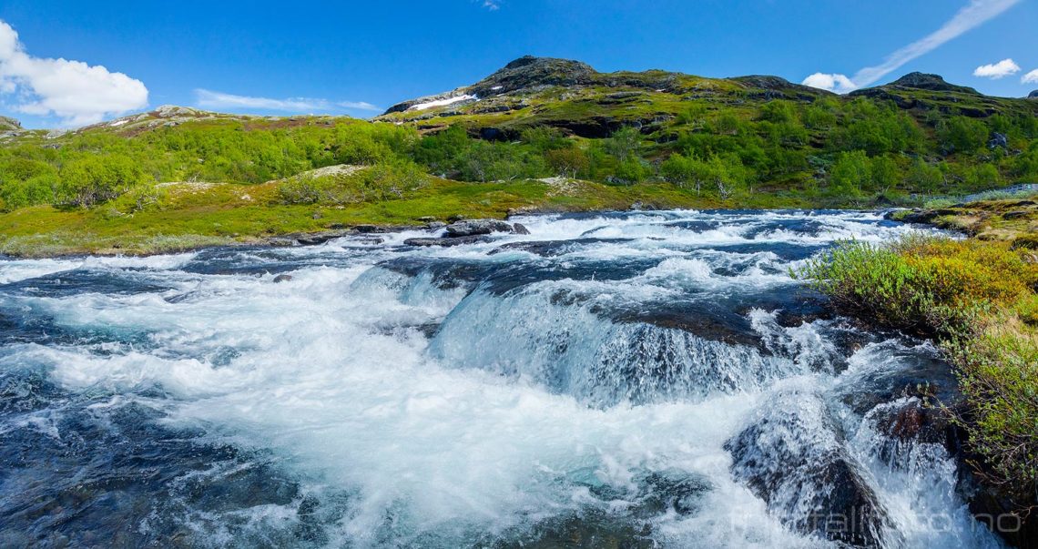 Sommer ved Urvassbotn, Hol, Buskerud.<br>Bildenr 20210622-025-026.