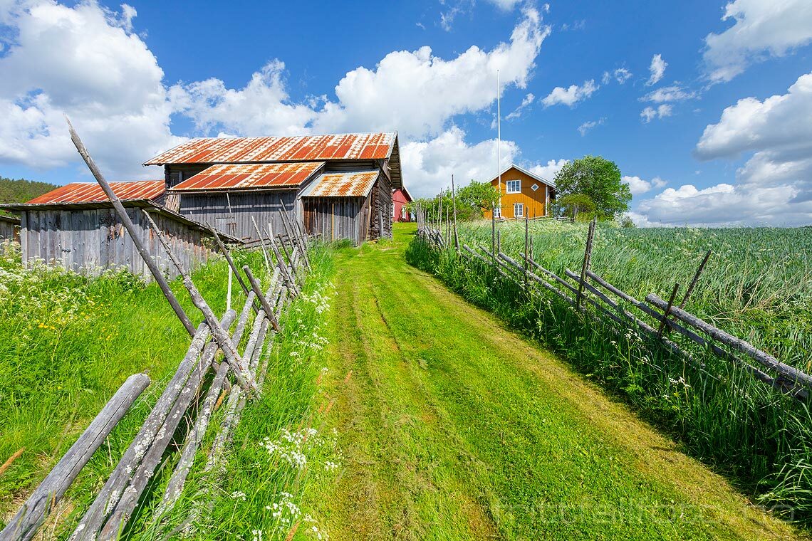 Ved Eidskog bygdetun Almenninga, Eidskog, Innlandet.<br>Bildenr 20220611-316.