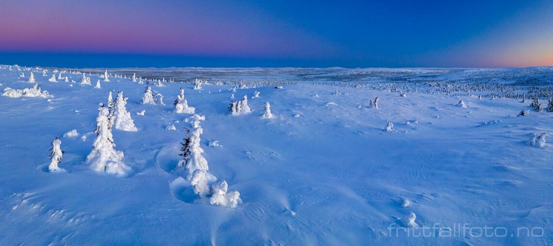 Vintermorgen ved Hafjell på Øyerfjellet,  Øyer, Innlandet.<br>Bildenr 20221224-079-080.