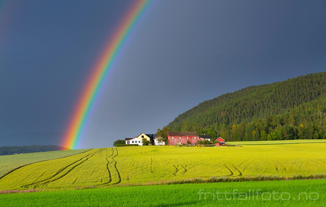 En vakker regnbue dekorerer kulturlandskapet ved Skoe i Øver Bø, Midt-Telemark, Vestfold og Telemark.<br>Bildenr 20150730-003.