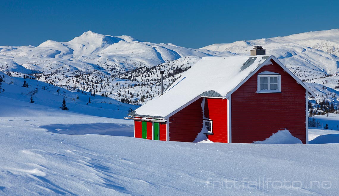 Vinterdag i Dyrdalen på Lifjell, Notodden, Vestfold og Telemark.<br>Bildenr 20130209-435.