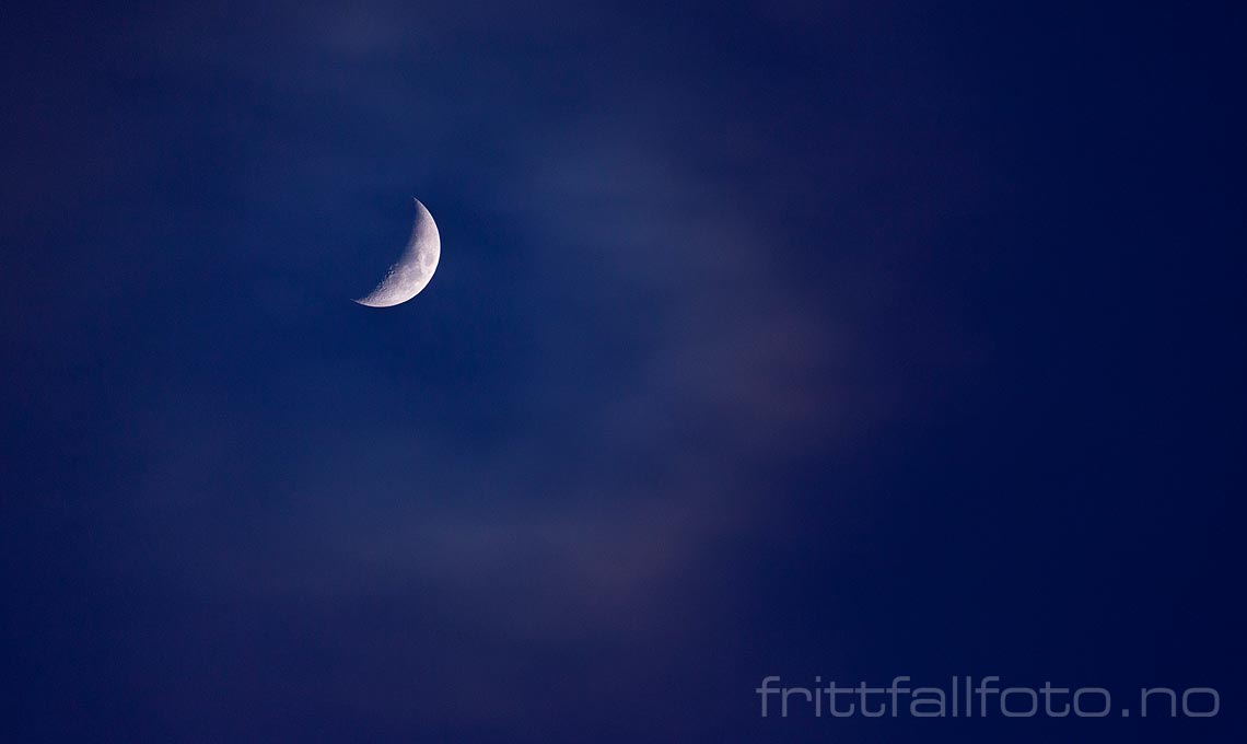 Månen lyser opp kveldshimmelen over Bø, Midt-Telemark, Vestfold og Telemark.<br>Bildenr 20130317-011.