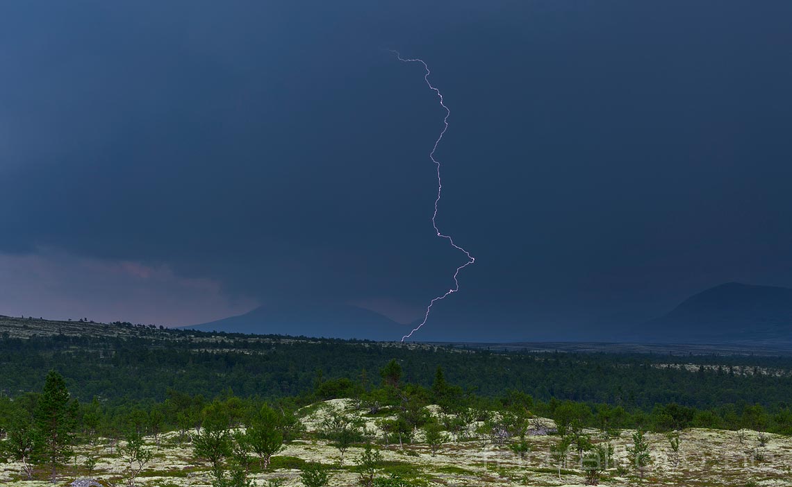 Et lyn slår ned i Bjørkmarka nær Unset, Rendalen, Innlandet.<br>Bildenr 20140804-099.