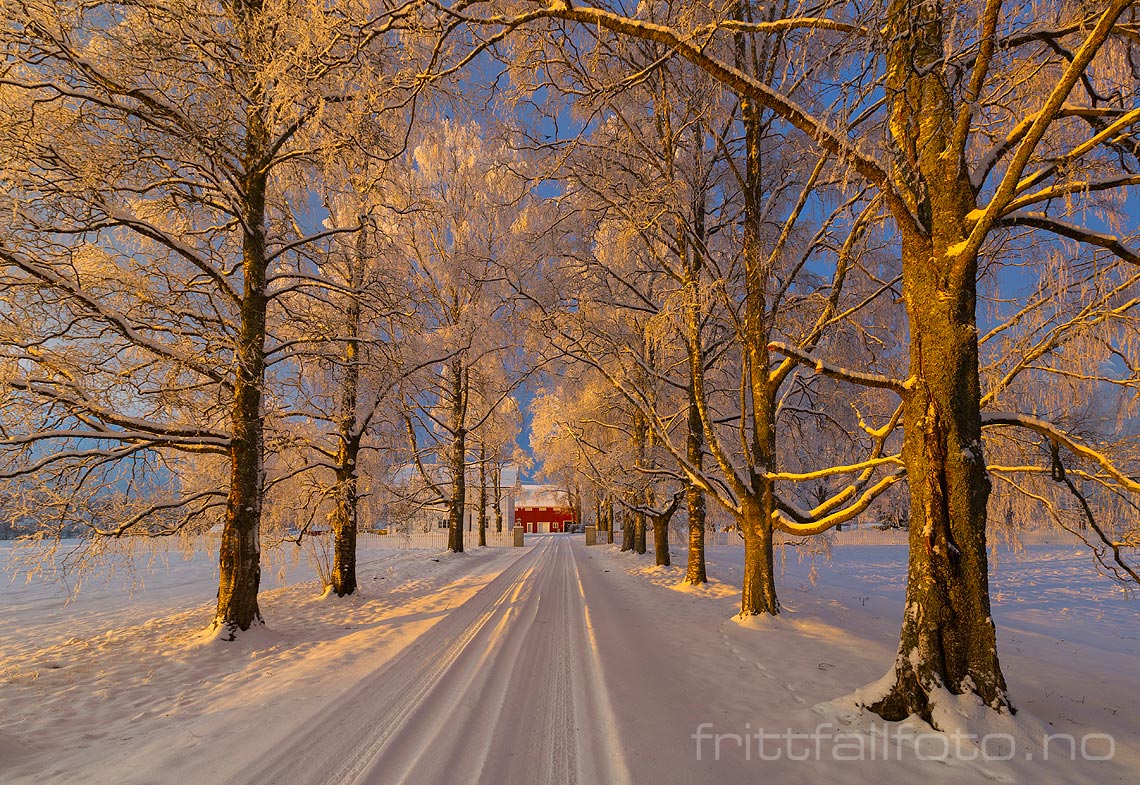 Vinterlys på årets siste dag ved Storhov i Heradsbygd, Elverum, Innlandet.<br>Bildenr 20141231-159.