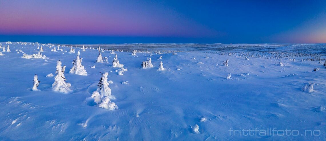 Kald vintermorgen ved Hafjell, Øyer, Innlandet.<br>Bildenr 20221224-073-074.