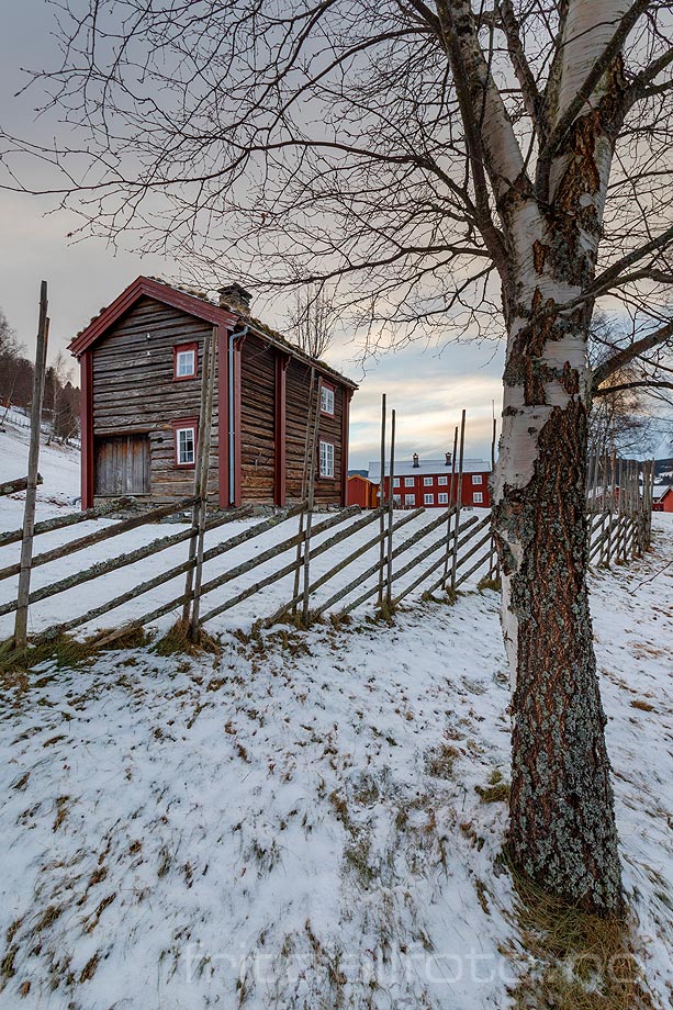 Vinterdag ved Horg bygdatun i Gauldalen, Melhus, Trøndelag.<br>Bildenr 20230118-129.