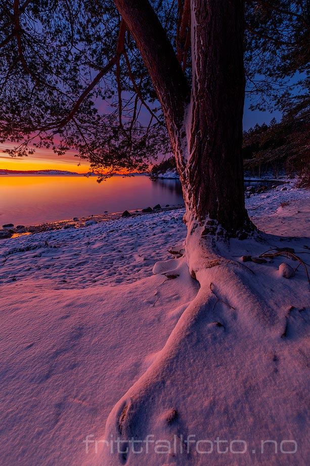 Vintermorgen ved Grubesand, Sandefjord, Vestfold og Telemark.<br>Bildenr 20230204-011.